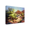 Trademark Fine Art Maxine Johnston 'Desert Beauty' Canvas Art, 35x47 WAG02425-C3547GG